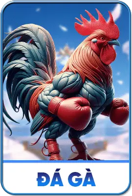 FLY88 ⭐️ Link Vào Nhà Cái FLY88.COM | Đăng Ký FLY 88 +58K 6 FLY88 Đá Gà