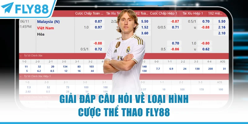 Thể Thao FLY88 - Bảng Kèo Chất Lượng Top 1 Thị Trường 8 Giải đáp câu hỏi về loại hình thể thao FLY88